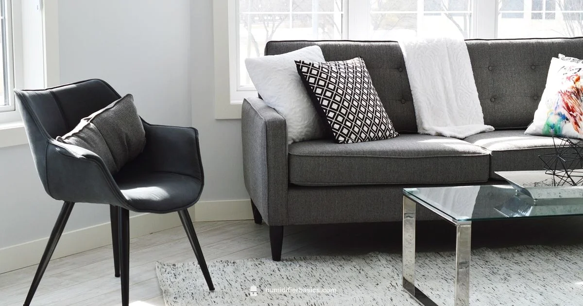 Humidity Boost - HumidifierBasics