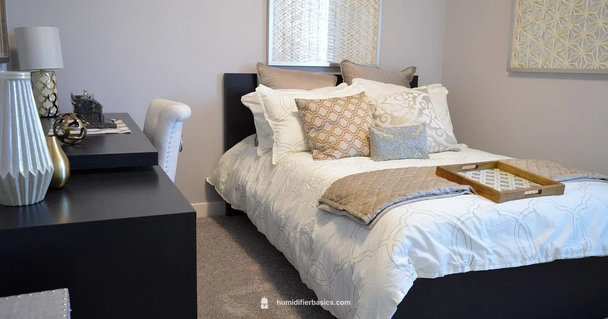 Vicks Humidifier Guide - HumidifierBasics