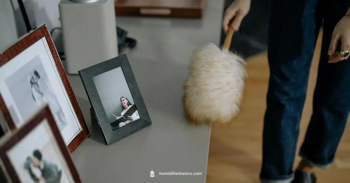 Dust-Free Humidifiers - HumidifierBasics