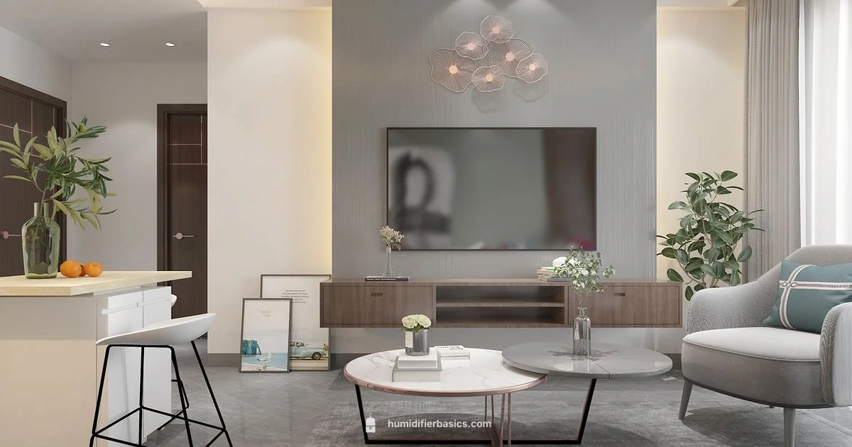 AC Room Humidifier - HumidifierBasics