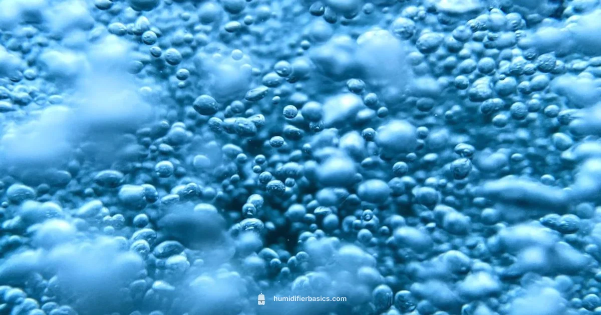 Water Quality Tips - HumidifierBasics