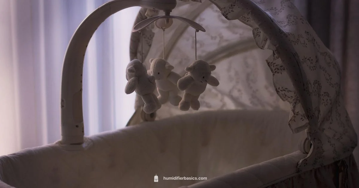 Safe Humidifier Setup - HumidifierBasics