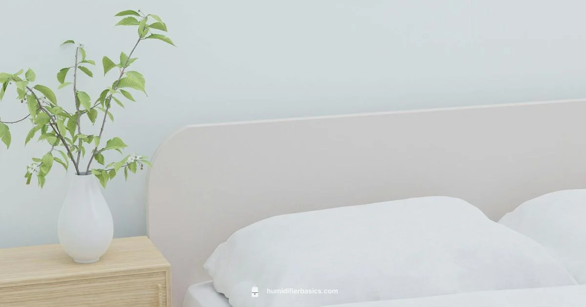 Clean Air Guide - HumidifierBasics