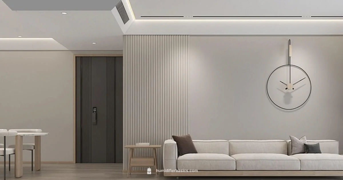 Healthy Air Setup Healthy Air Setup - HumidifierBasics