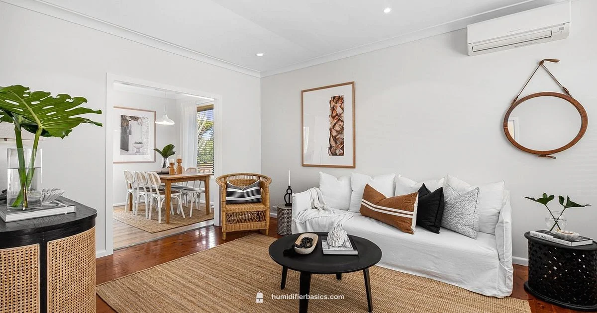 Why Humidifier Matters - HumidifierBasics