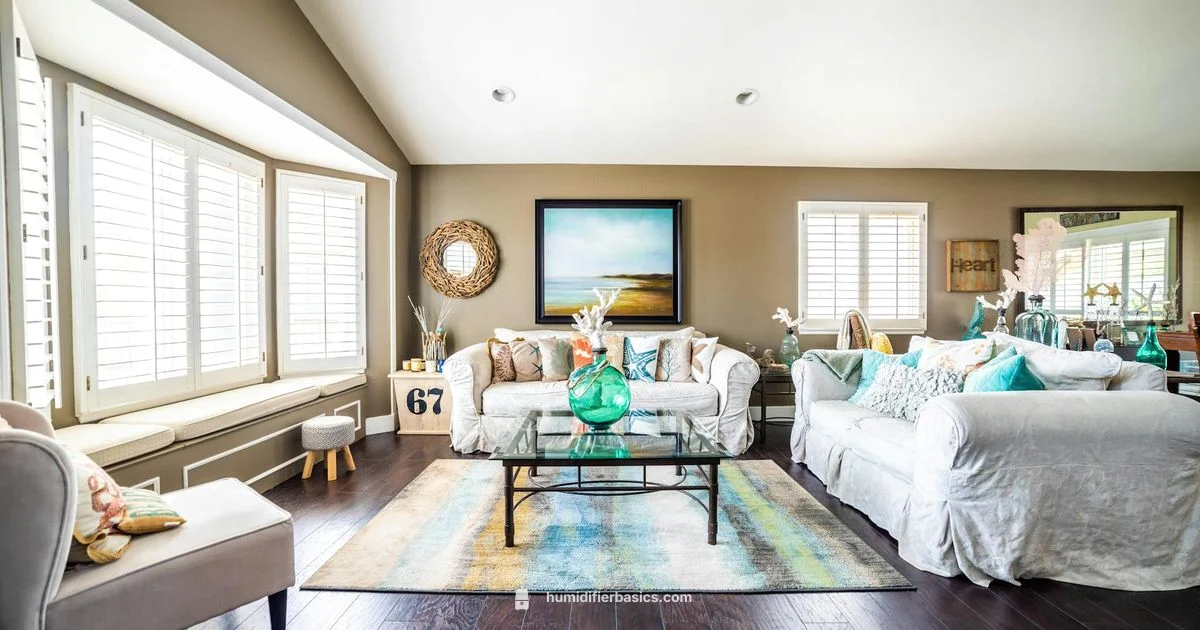 Preventive Humidifier Care - HumidifierBasics