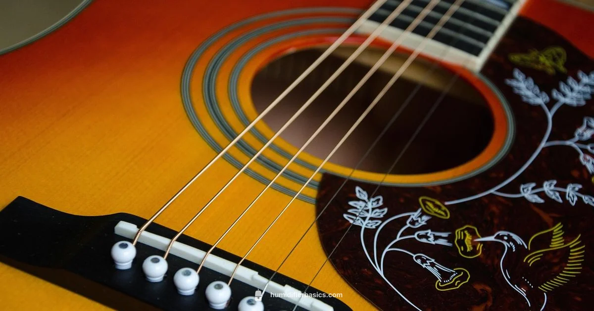 Guitar Humidity Guide - HumidifierBasics