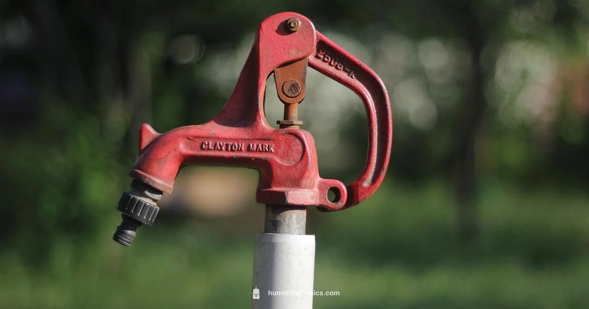 Tap Water Humidity - HumidifierBasics