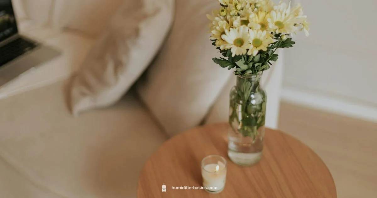 Humidifier Benefits at Home - HumidifierBasics