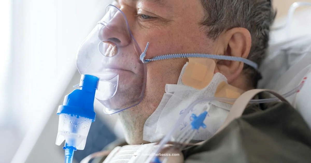 Oxygen Humidifier Setup - HumidifierBasics