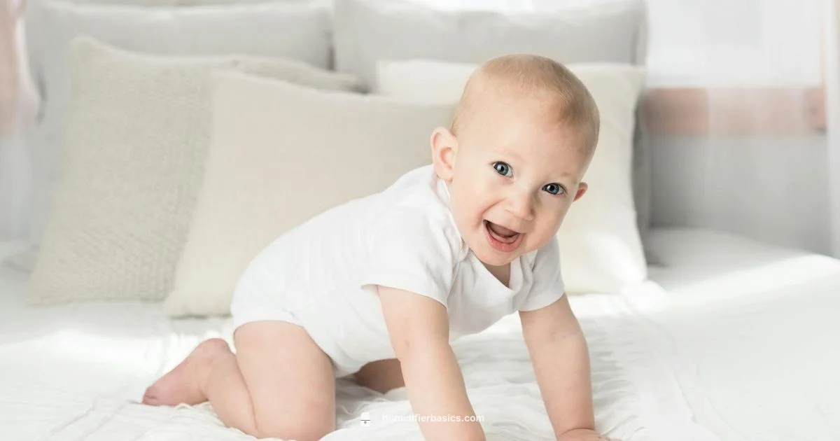 Safe Nursery Humidifier - HumidifierBasics
