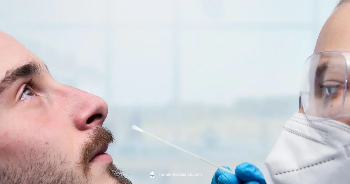 Nasal Humidity at Home - HumidifierBasics