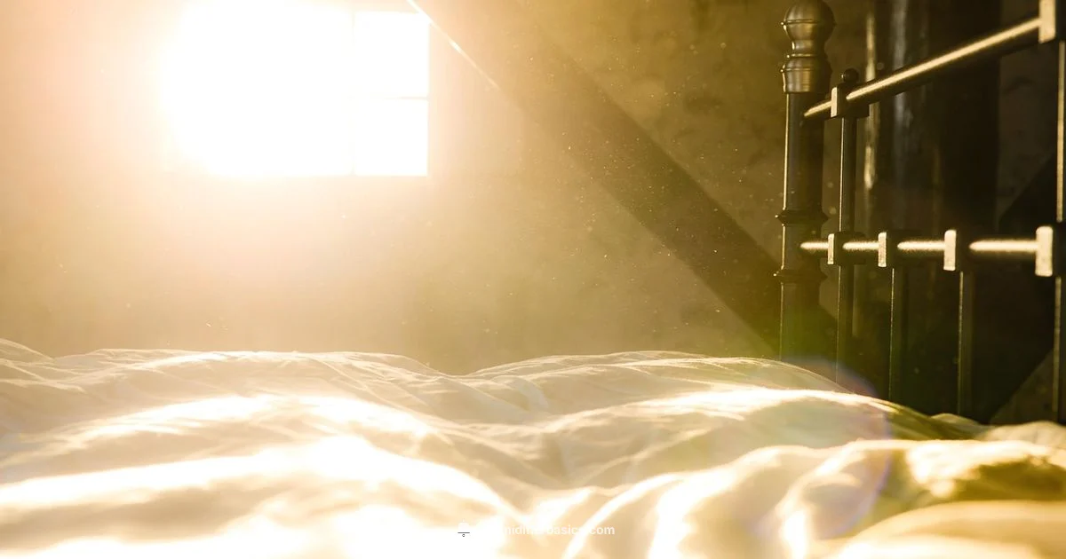 Right-Sized Humidifier - HumidifierBasics