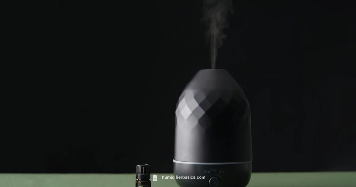 Humidifier vs Diffuser - HumidifierBasics