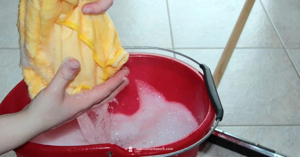 Clean Humidifier Guide - HumidifierBasics