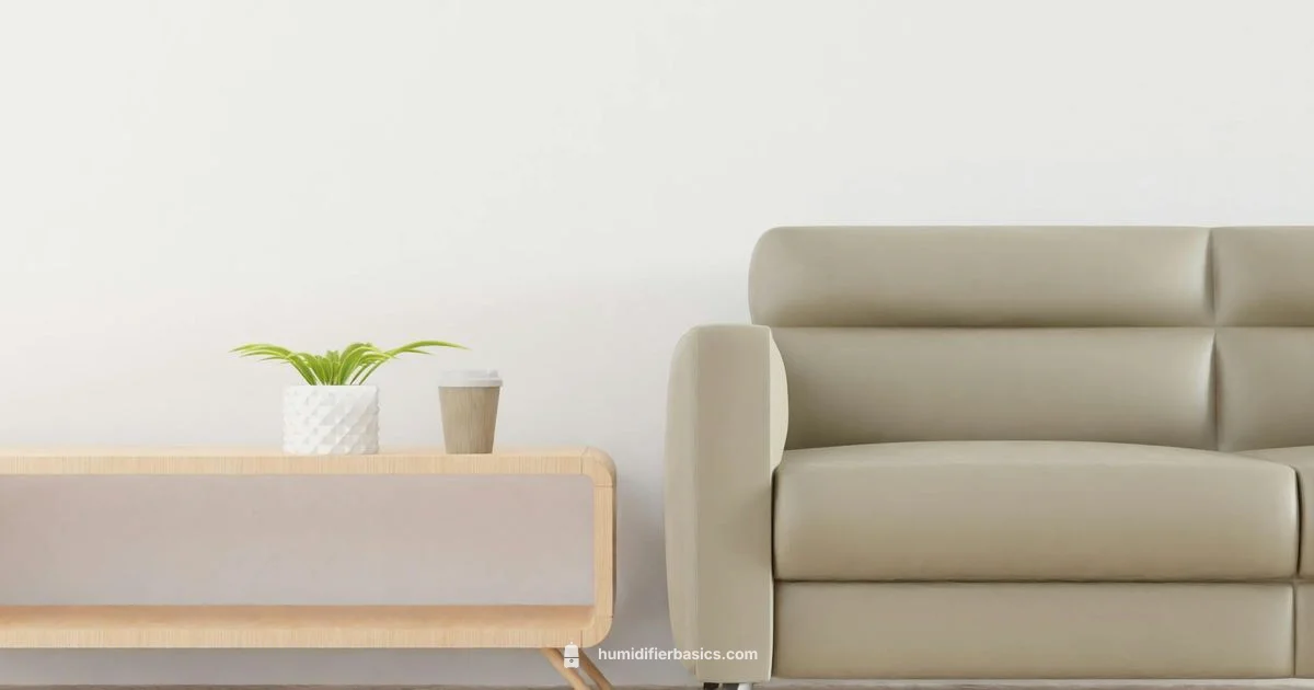 Humidifier Care Humidifier Care - HumidifierBasics