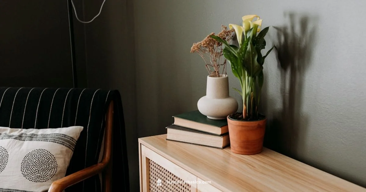 Air Humidifier Basics - HumidifierBasics