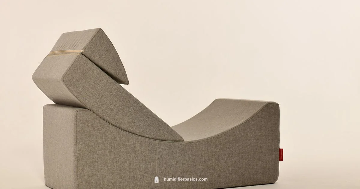 Dyson Humidifier Guide - HumidifierBasics