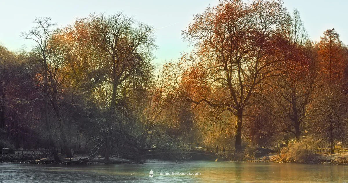 Humidifier for Cough - HumidifierBasics