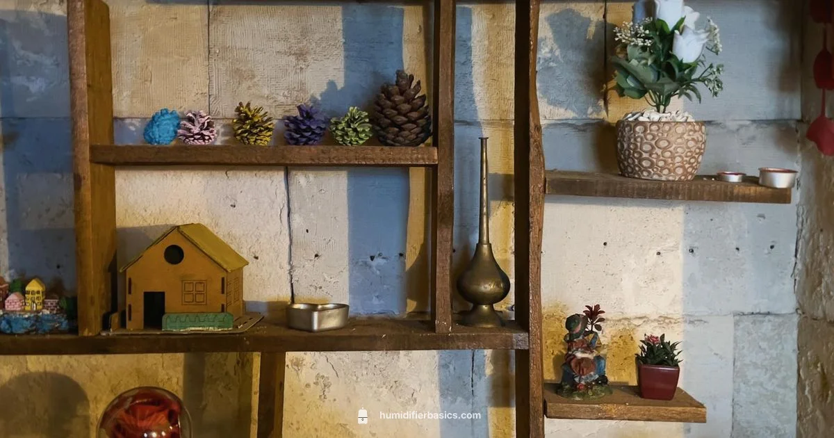 Best Humidifier Picks - HumidifierBasics