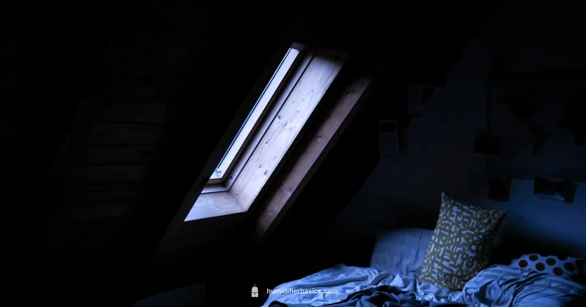 Humidifier Guide - HumidifierBasics