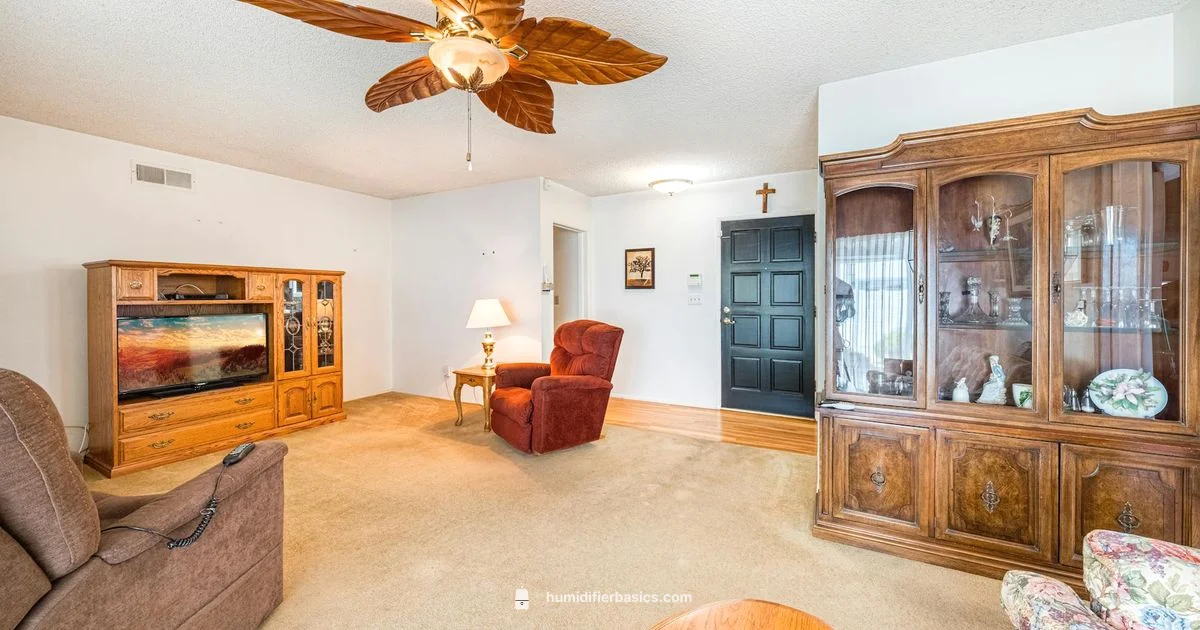 Humidifier with Fan Guide - HumidifierBasics