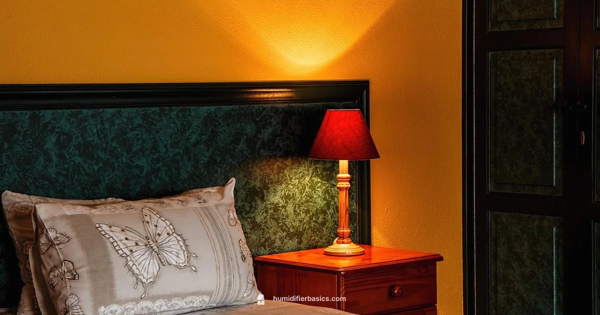 Humidifier for Sinus Relief - HumidifierBasics
