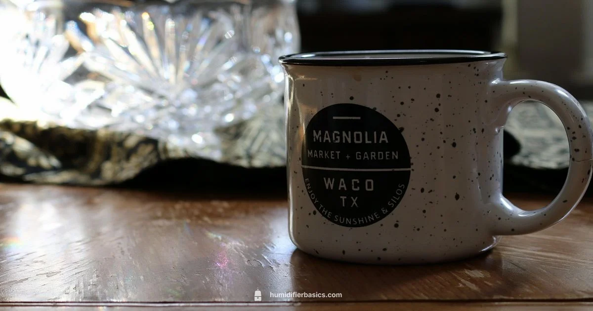 Humidifier Filter Guide - HumidifierBasics