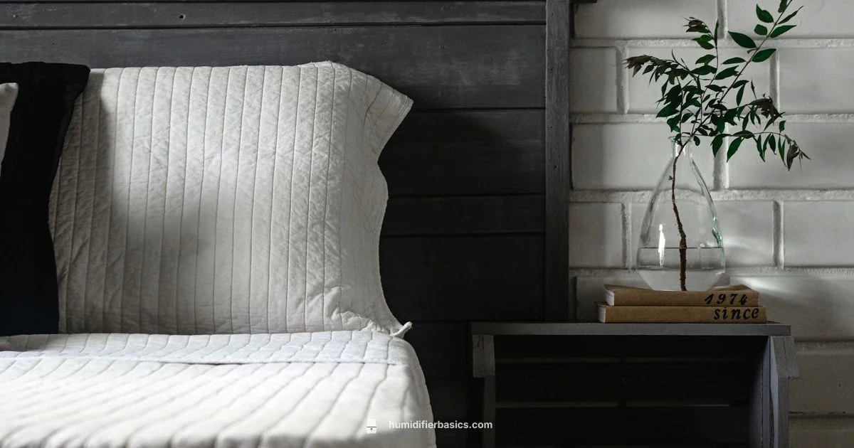 Humidifier Water Guide - HumidifierBasics