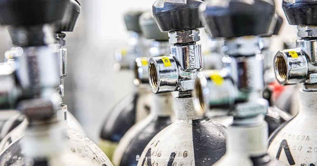 Humidifier Bottle Guide - HumidifierBasics