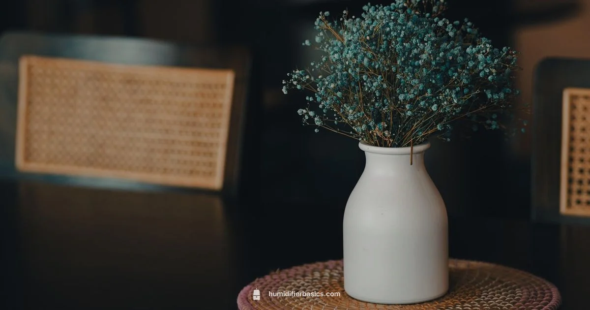 Humidifier vs Purifier - HumidifierBasics