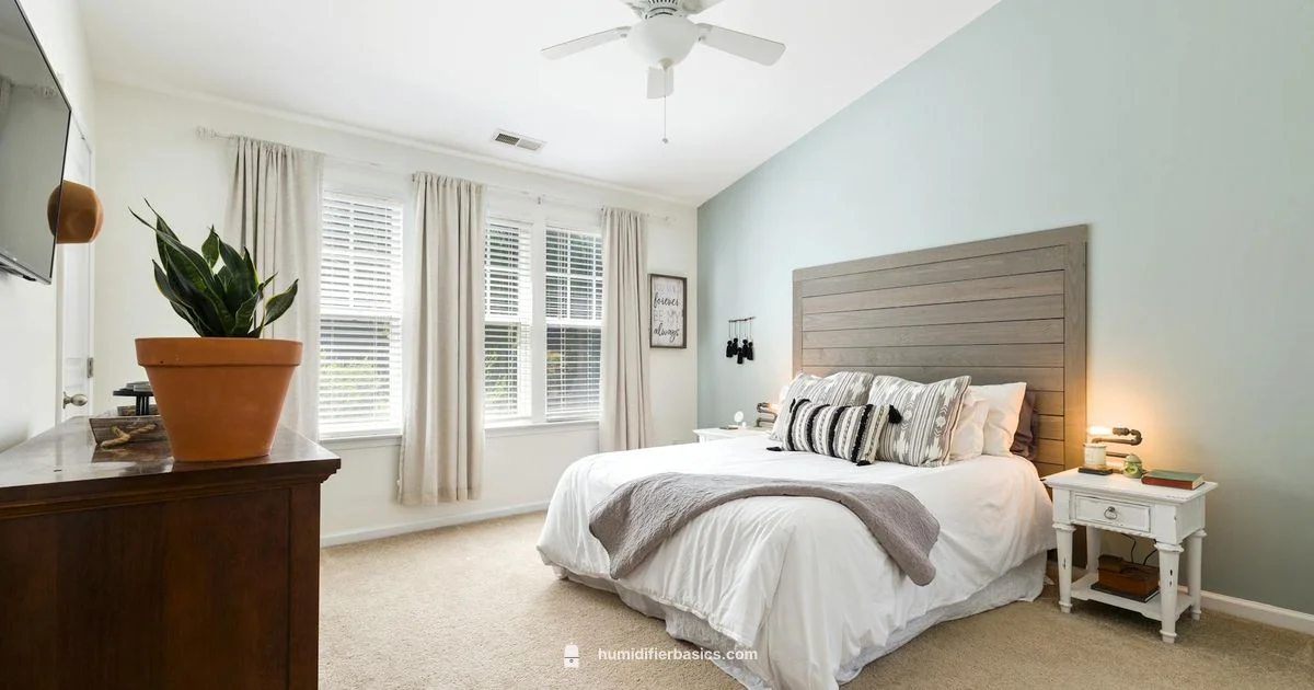 Warm vs Cool Humidifiers - HumidifierBasics