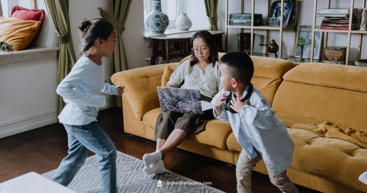 Humidifier Advantage Guide - HumidifierBasics