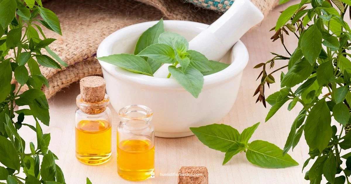 Oil Diffusion Guide - HumidifierBasics