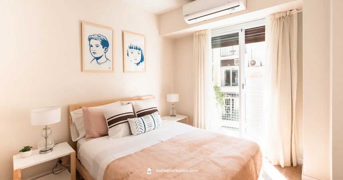 Congestion and Humidity - HumidifierBasics