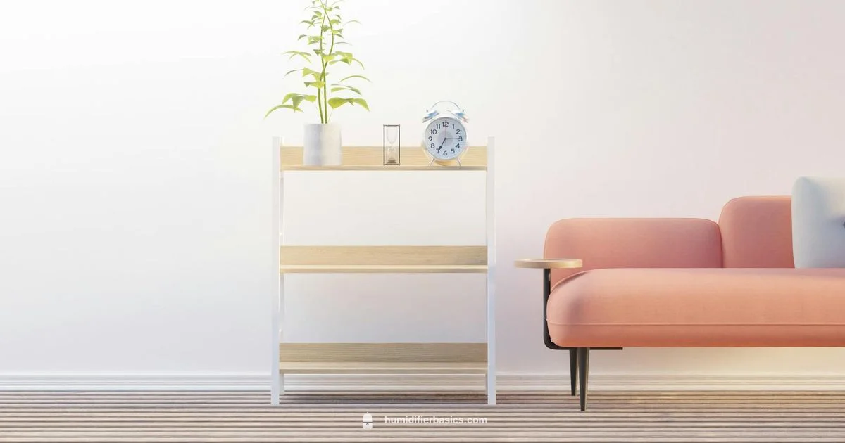 Best Home Humidifier - HumidifierBasics