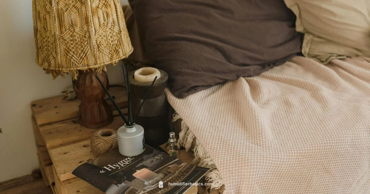 Cozy Comfort Humidity - HumidifierBasics