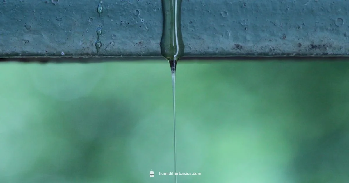 Humidifier Spitting Water - HumidifierBasics