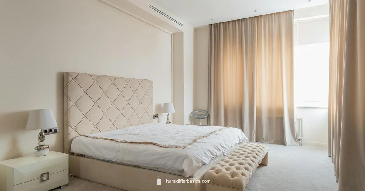 Humidity Essentials - HumidifierBasics