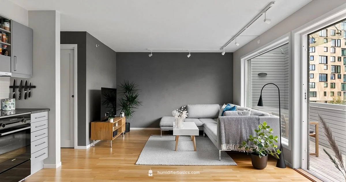 Humidifier Price Guide - HumidifierBasics