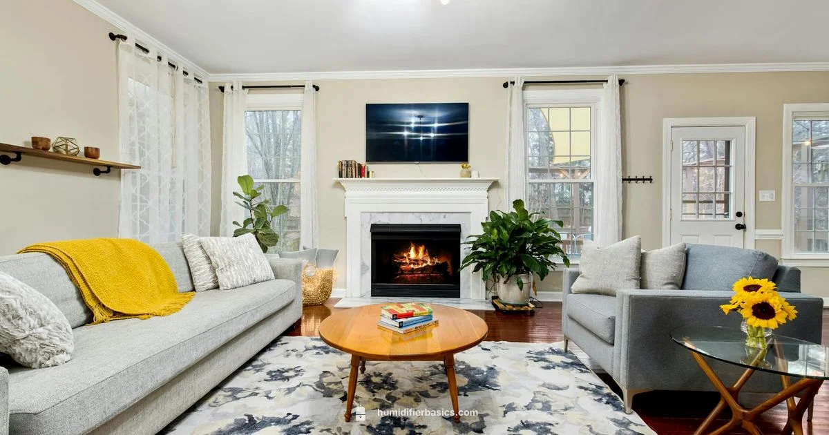 Placement Mastery Guide - HumidifierBasics