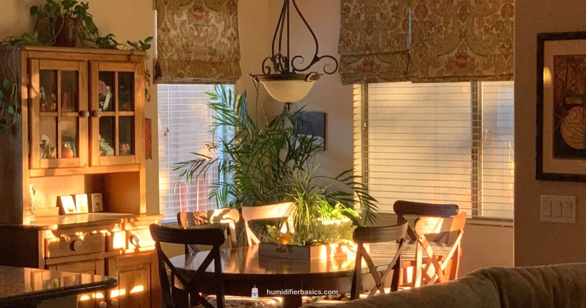 Humidity Boost in Rooms - HumidifierBasics