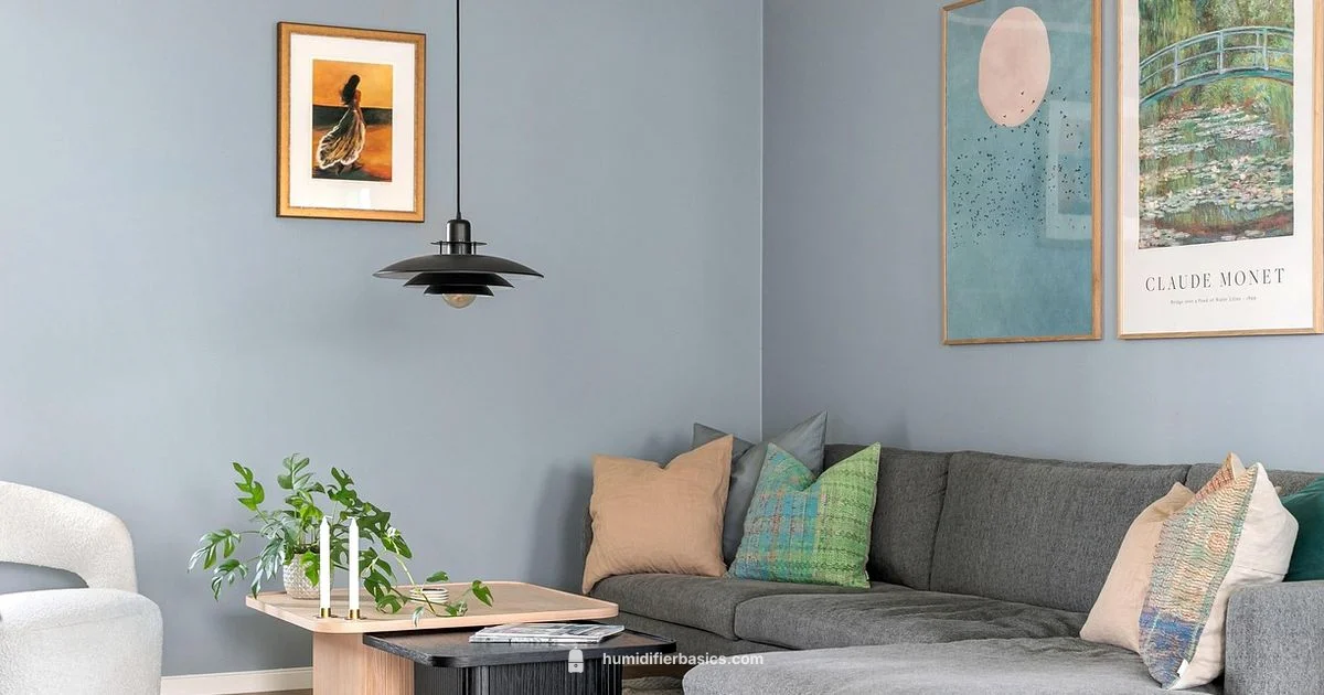 Oil Placement Guide - HumidifierBasics