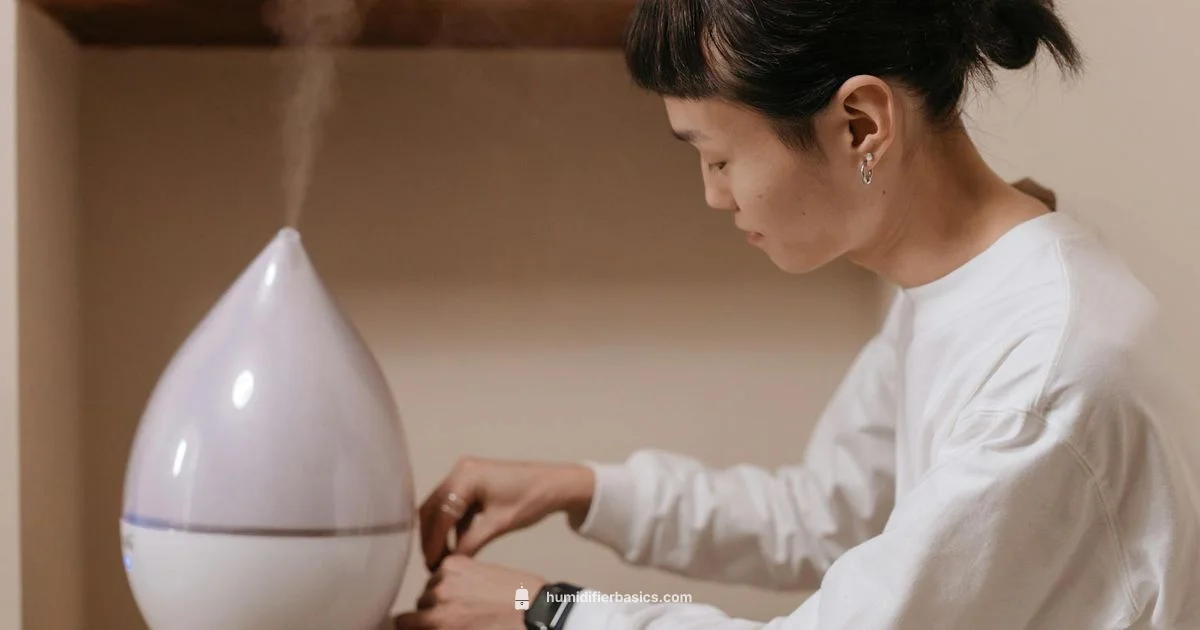 Humidifier Guide - HumidifierBasics