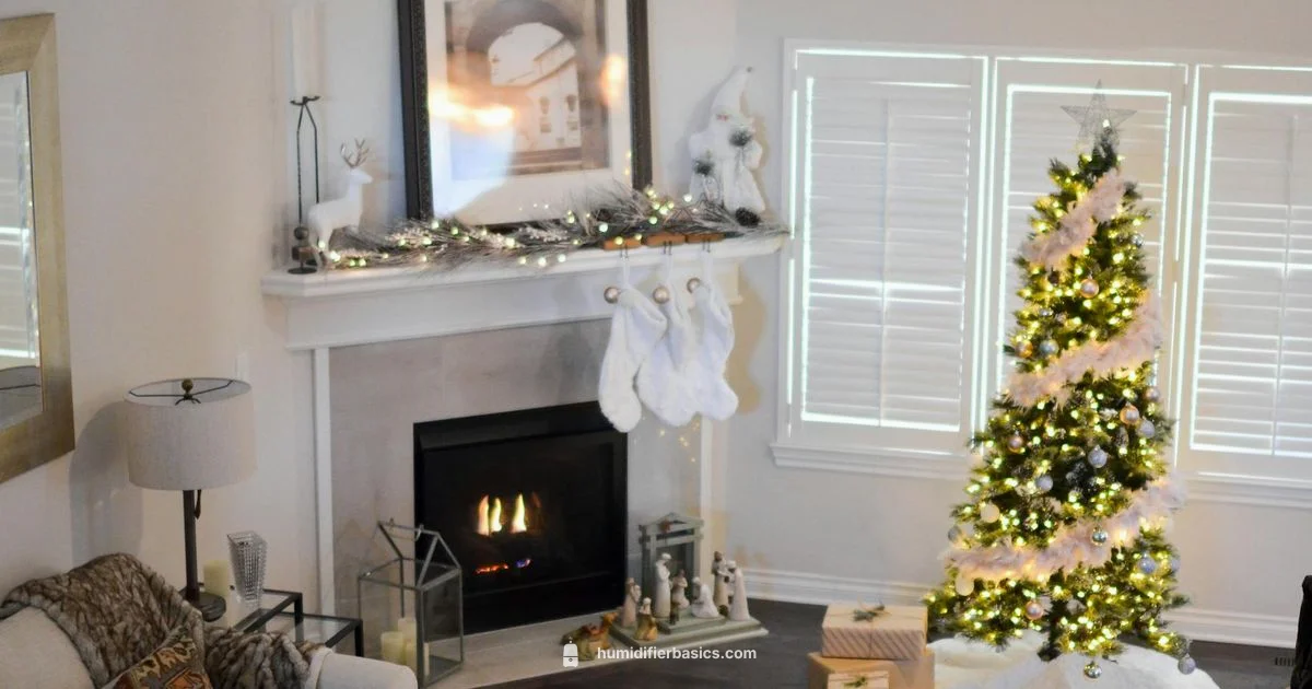 Moisture at Home - HumidifierBasics