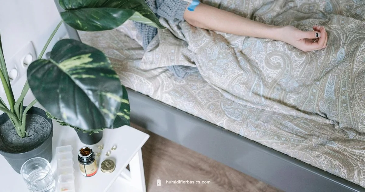 CPAP Humidifier Setup - HumidifierBasics