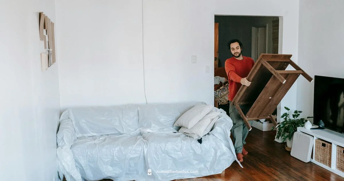 Noisy Humidifier Guide - HumidifierBasics