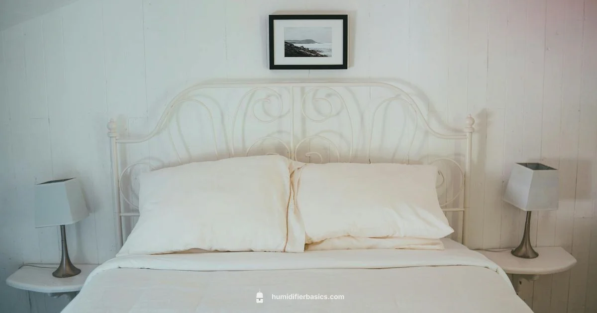 Germ-Free Humidifier HCM-350 - HumidifierBasics