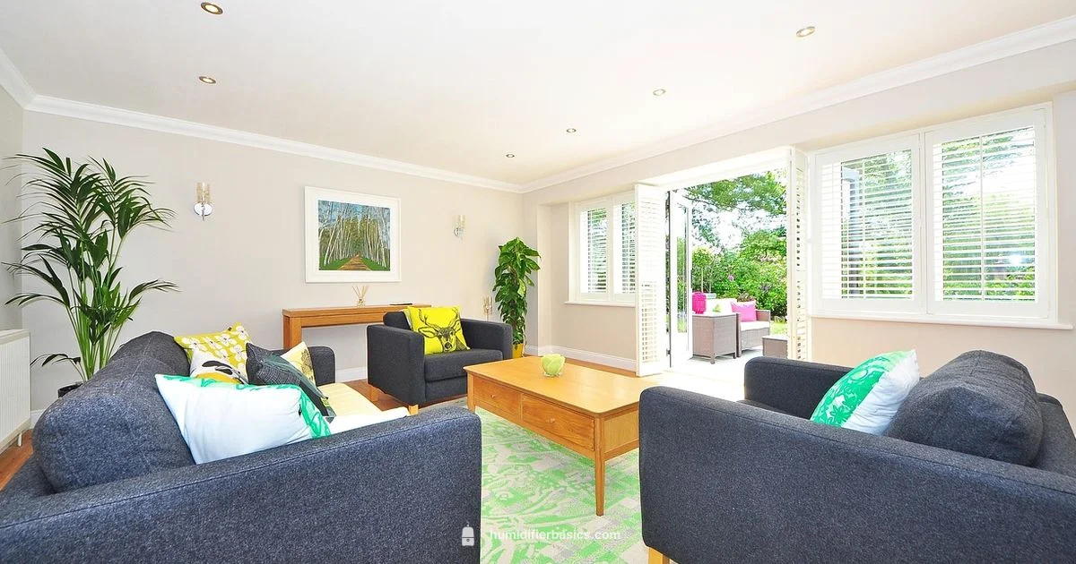 Nasal Comfort Guide - HumidifierBasics