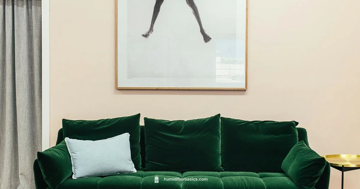 Air Care Humidifier - HumidifierBasics